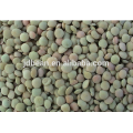 2017 new crop green lentils